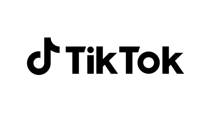 TikTok Partner TikTok Partner — FIKI, agencia certificada